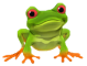 Afbeelding voor  Frogger 3D