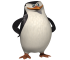 Afbeelding voor  Penguins of Madagascar