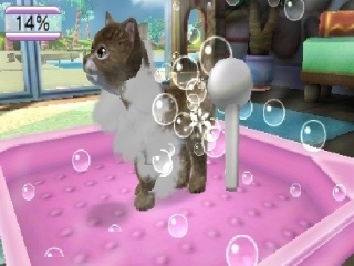 Pets Paradise Resort 3D: Screenshot